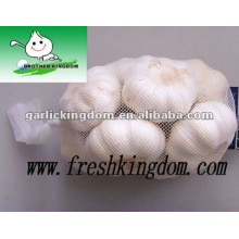 Big Size White Garlic